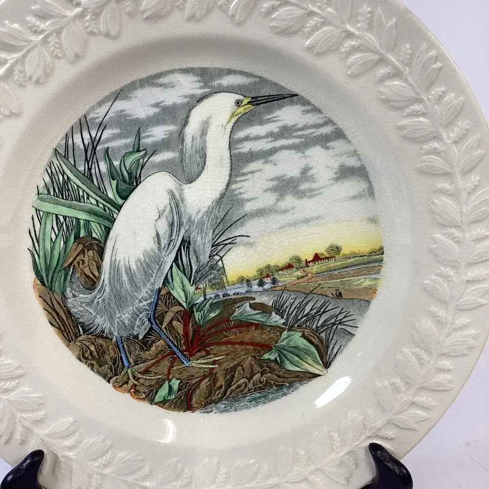 Adams england birds